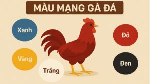 cách xem màu mạng gà đá theo ngày